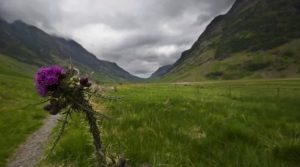 Rural Scots See Coverage Boost as 4G Programme Hits Halfway Point